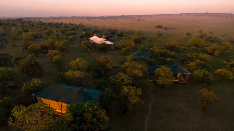 Moyo Camp โ photo 7