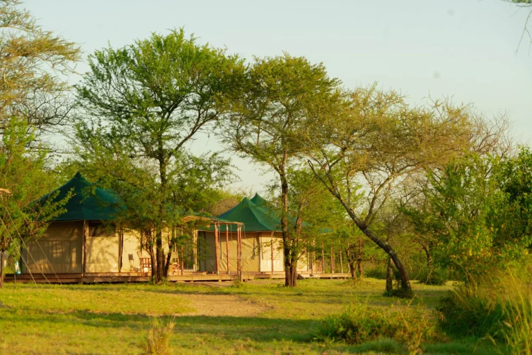 Moyo Camp โ photo 8