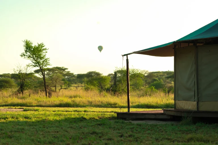 Moyo Camp โ photo 10