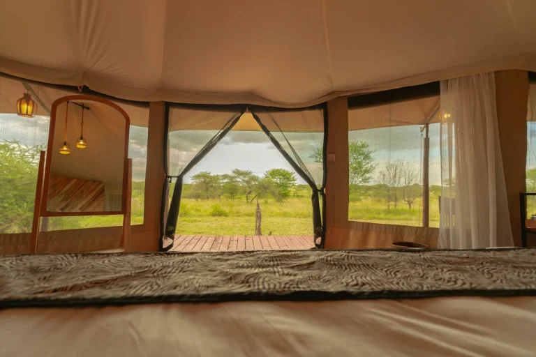 Moyo Camp โ photo 15