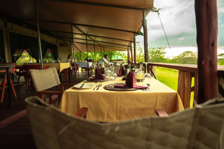 Moyo Camp โ photo 16