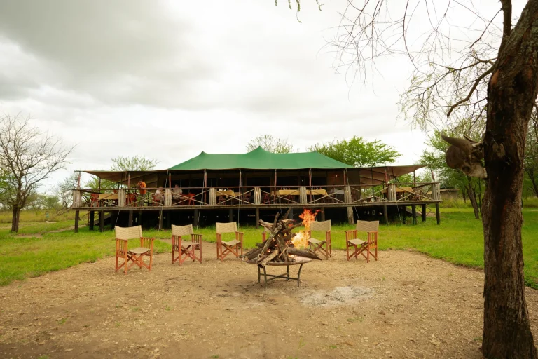 Moyo Camp โ photo 18