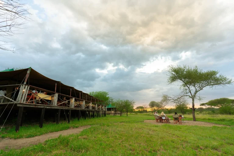 Moyo Camp โ photo 20