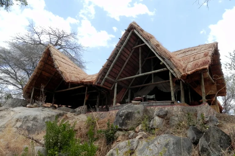 Mwagusi Safari Camp โ photo 1