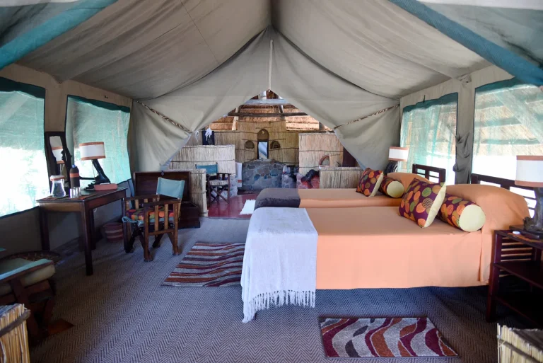 Mwagusi Safari Camp โ photo 4