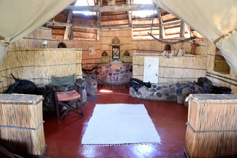 Mwagusi Safari Camp โ photo 6