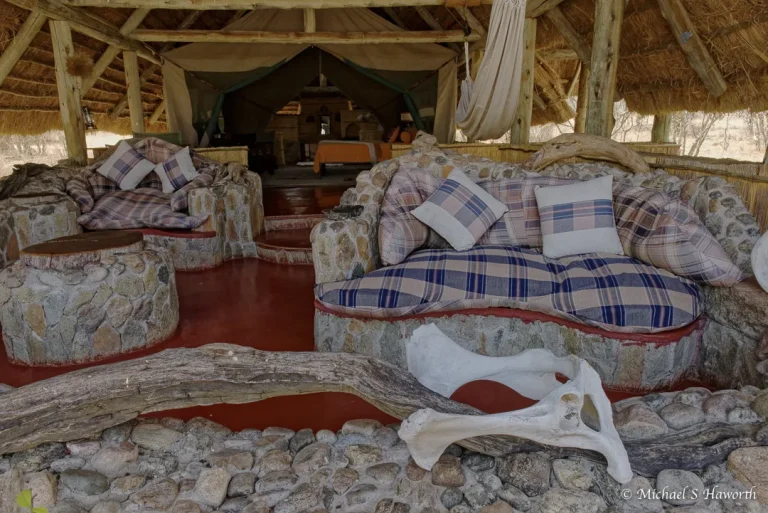 Mwagusi Safari Camp โ photo 7
