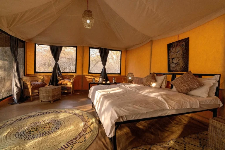 Ndutu Bush Camp โ photo 1