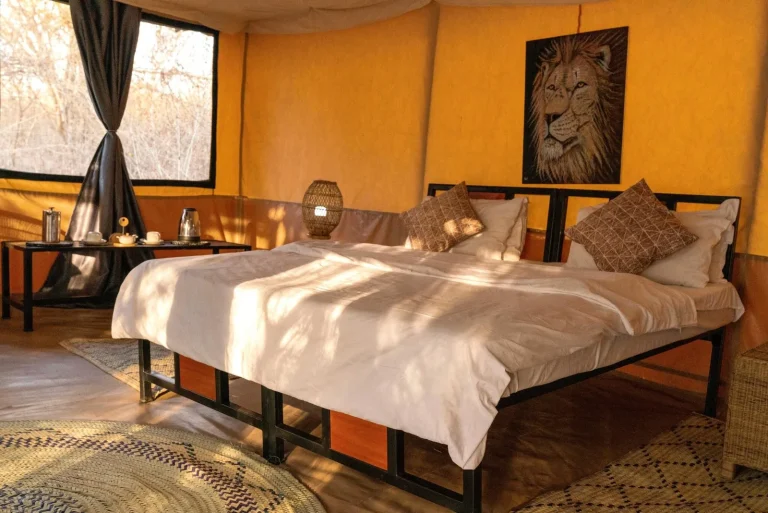 Ndutu Bush Camp โ photo 2