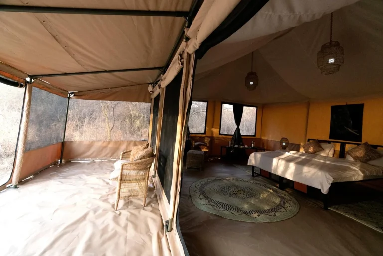 Ndutu Bush Camp โ photo 3