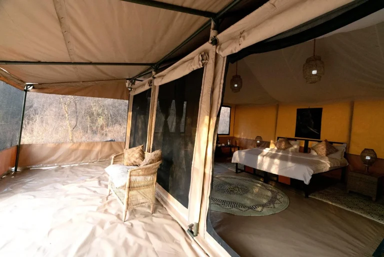 Ndutu Bush Camp โ photo 4