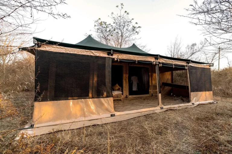 Ndutu Bush Camp โ photo 6