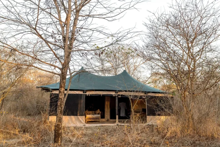 Ndutu Bush Camp โ photo 7