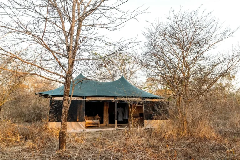 Ndutu Bush Camp โ photo 8