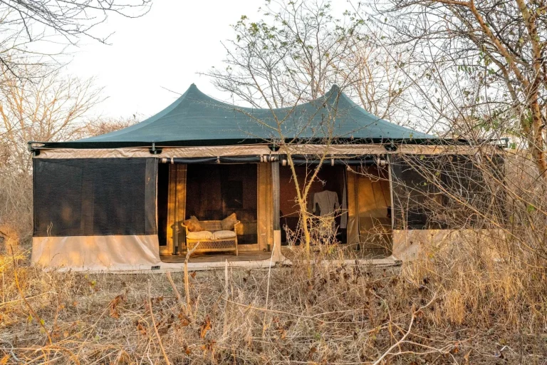Ndutu Bush Camp โ photo 9