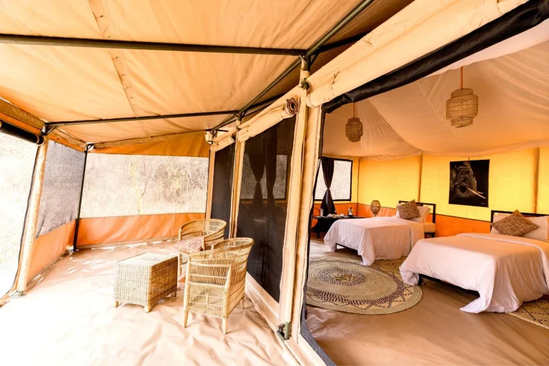Ndutu Bush Camp โ photo 10