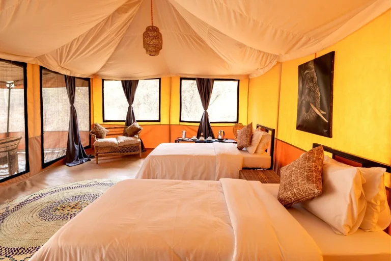 Ndutu Bush Camp โ photo 11