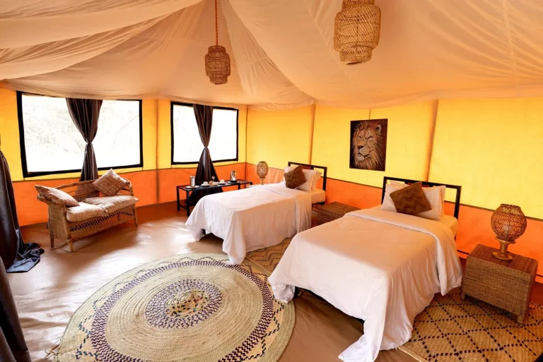 Ndutu Bush Camp โ photo 12