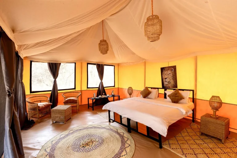 Ndutu Bush Camp โ photo 13