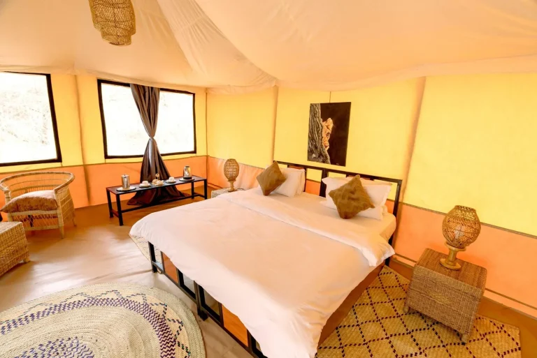 Ndutu Bush Camp โ photo 14