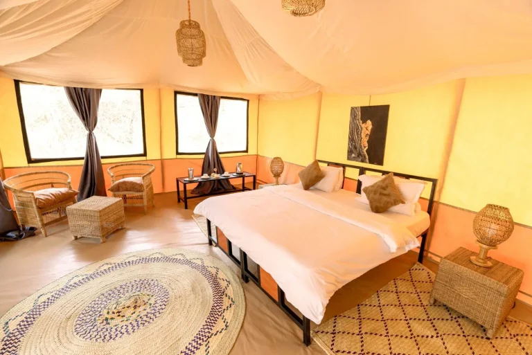 Ndutu Bush Camp โ photo 15