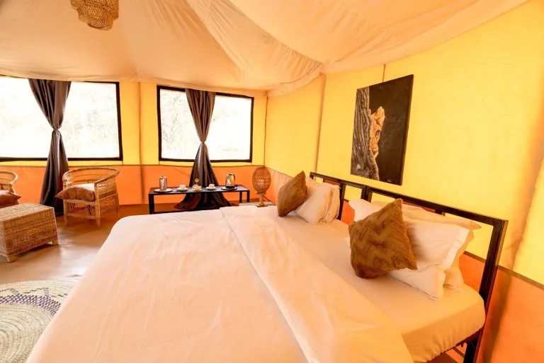 Ndutu Bush Camp โ photo 16