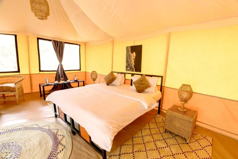 Ndutu Bush Camp โ photo 17