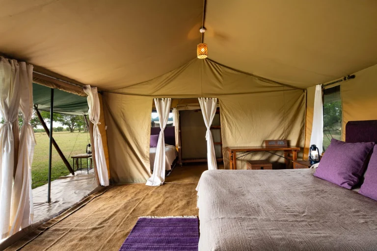 Ndutu Under Canvas — photo 1
