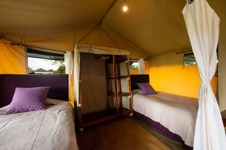 Ndutu Under Canvas — photo 2