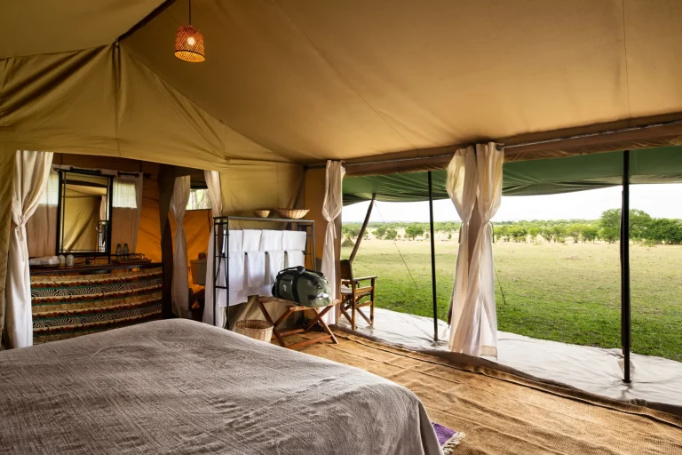 Ndutu Under Canvas — photo 5