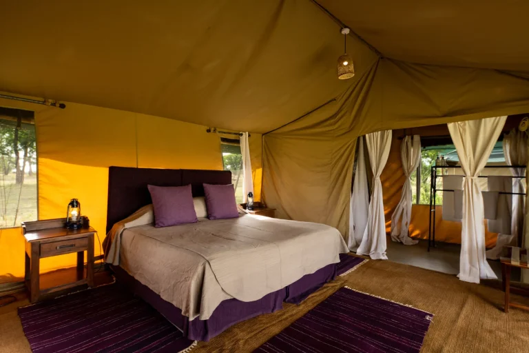 Ndutu Under Canvas — photo 7