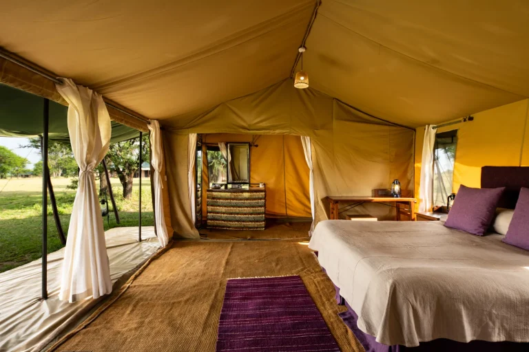 Ndutu Under Canvas — photo 8