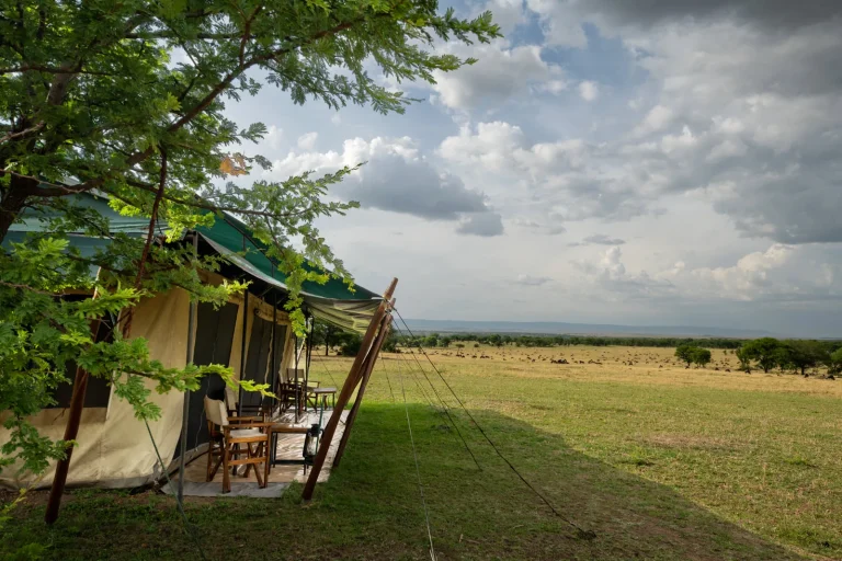 Ndutu Under Canvas — photo 9