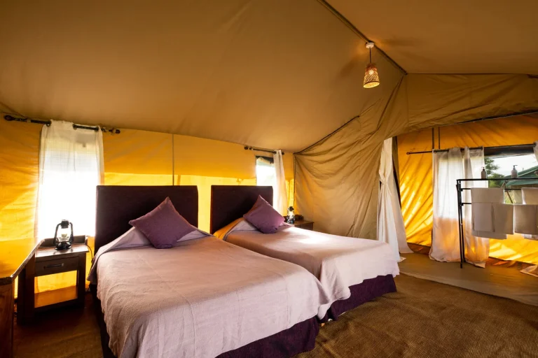 Ndutu Under Canvas — photo 10