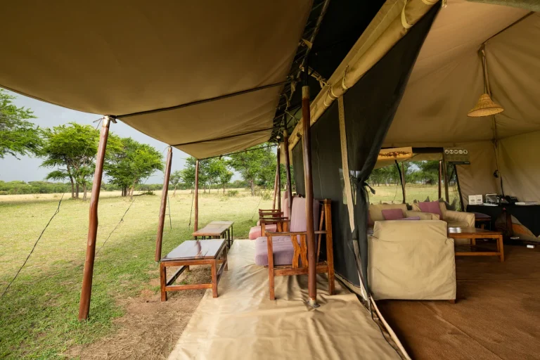 Ndutu Under Canvas — photo 11