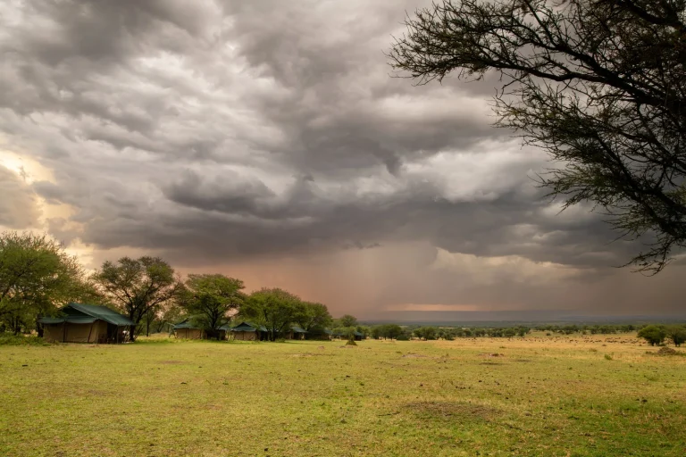 Ndutu Under Canvas — photo 12