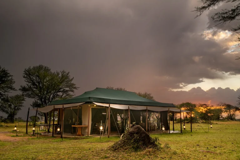 Ndutu Under Canvas — photo 13