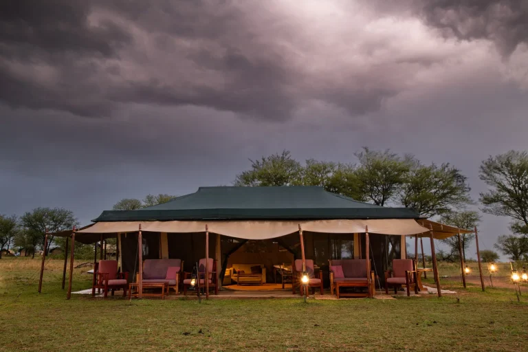 Ndutu Under Canvas — photo 14