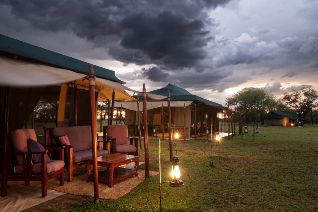 Ndutu Under Canvas