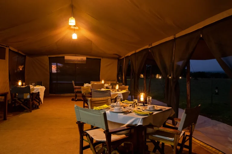 Ndutu Under Canvas — photo 15