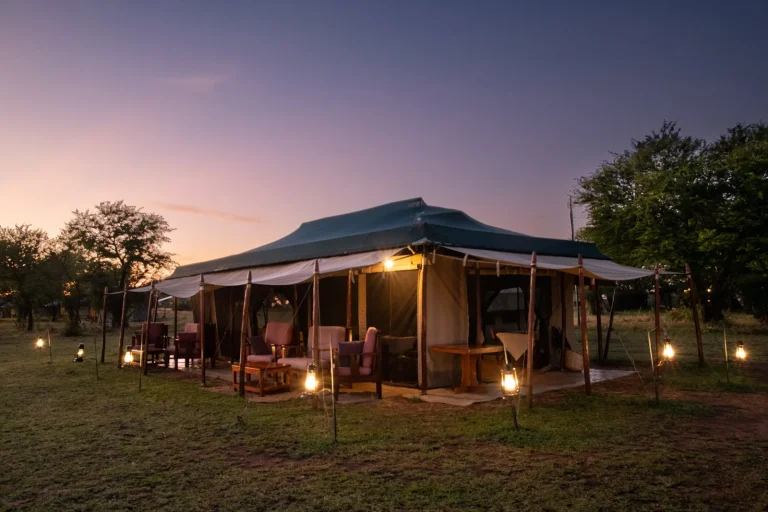 Ndutu Under Canvas — photo 17