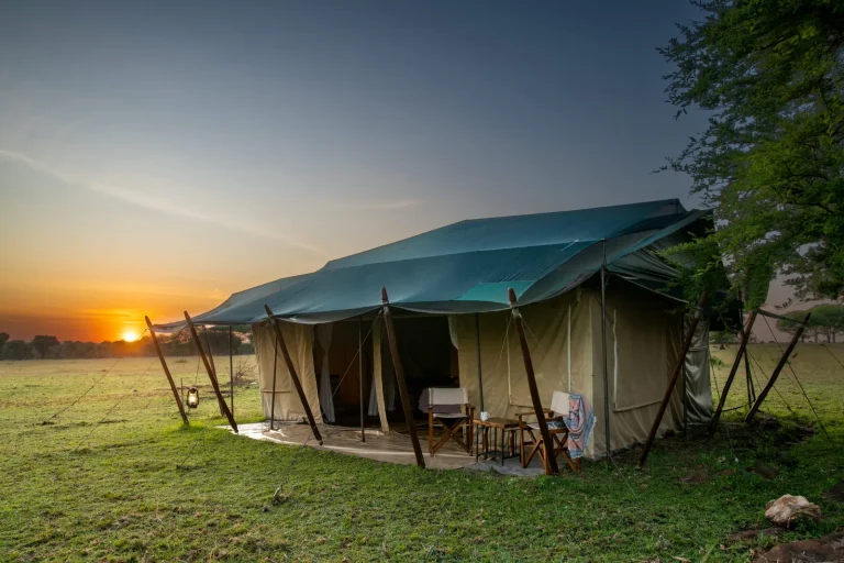 Ndutu Under Canvas — photo 19