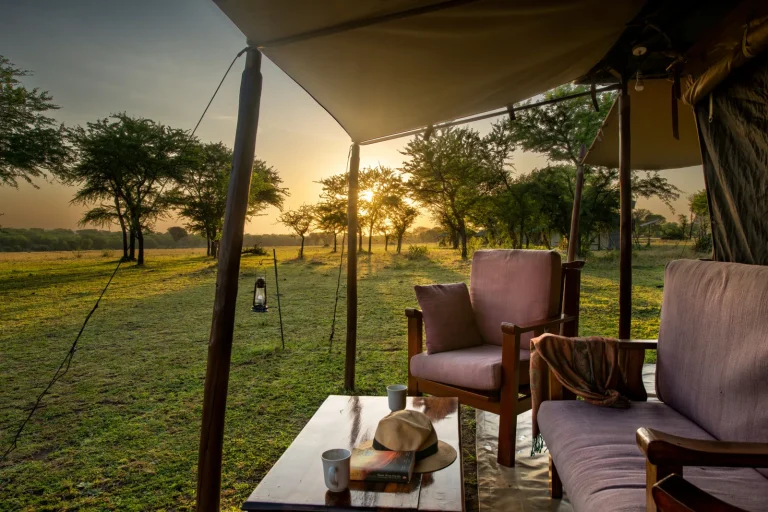 Ndutu Under Canvas — photo 21