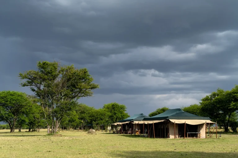 Ndutu Under Canvas — photo 24