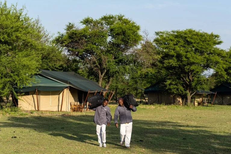 Ndutu Under Canvas — photo 25