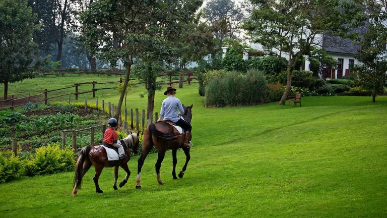 Ngorongoro The Manor — photo 3