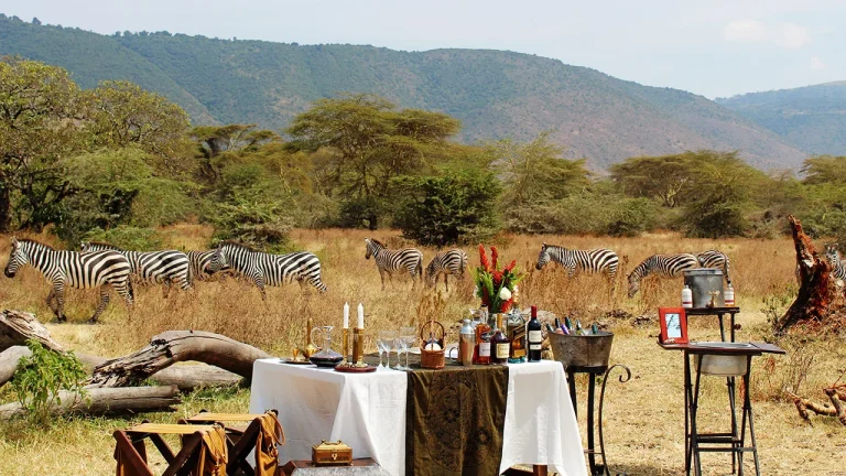 Ngorongoro The Manor — photo 4